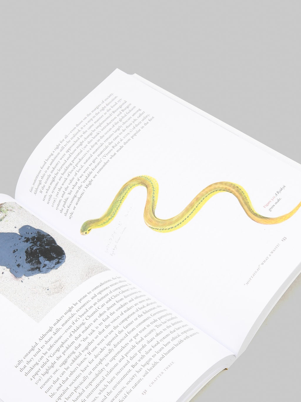 Dyeing with the Earth: Textiles,Tradition and Sustainability in Contemporary Japan