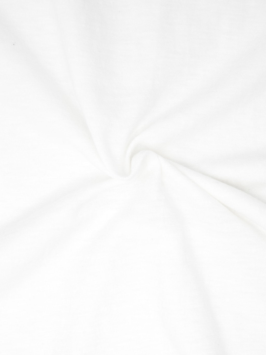 Fullcount 5503 TShirt White 2 Pack texture