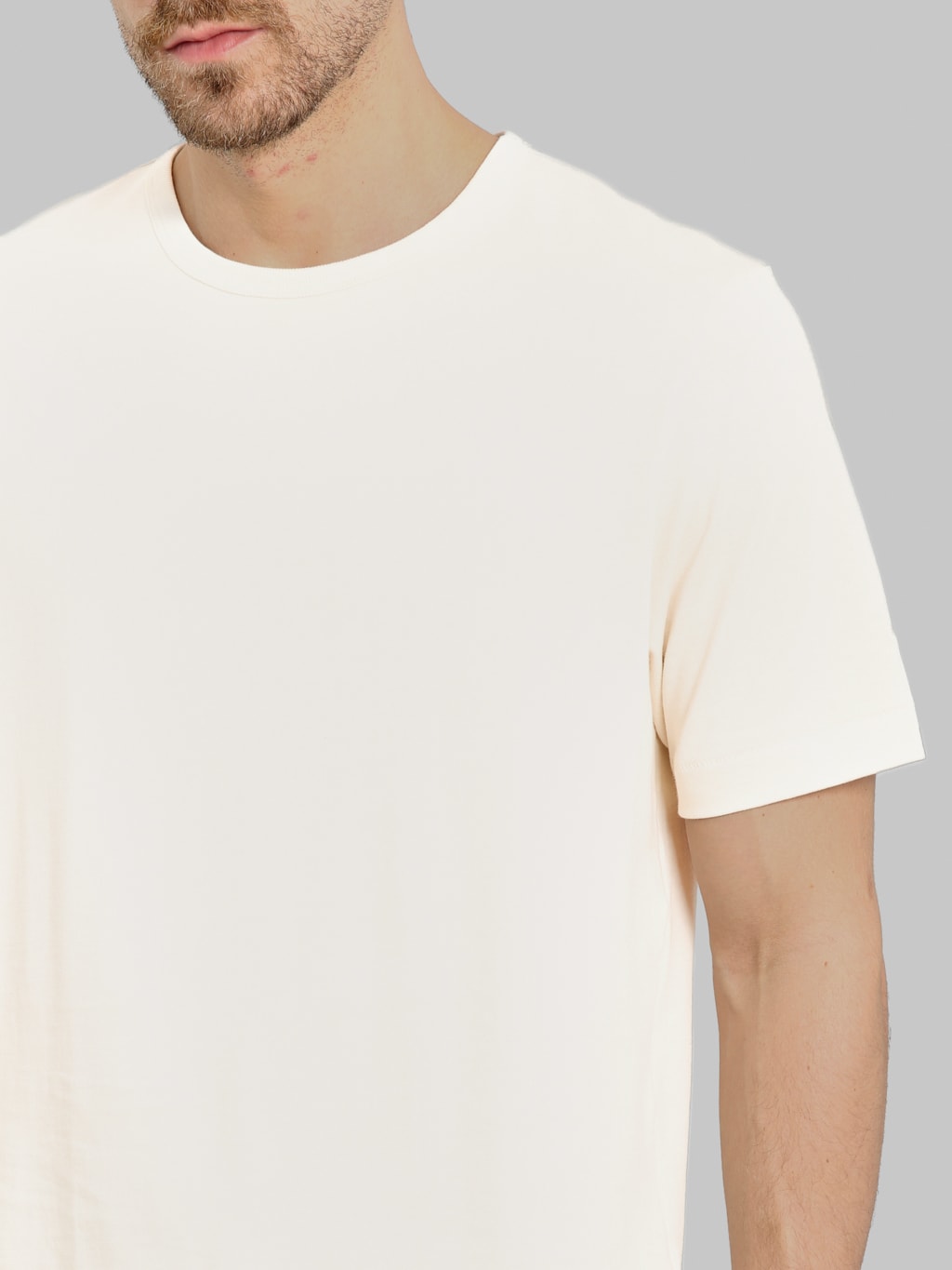 Merz b. Schwanen 2M15C Sturdy Jersey 6.8oz Crewneck Cropped Classic Fit T-Shirt Nature