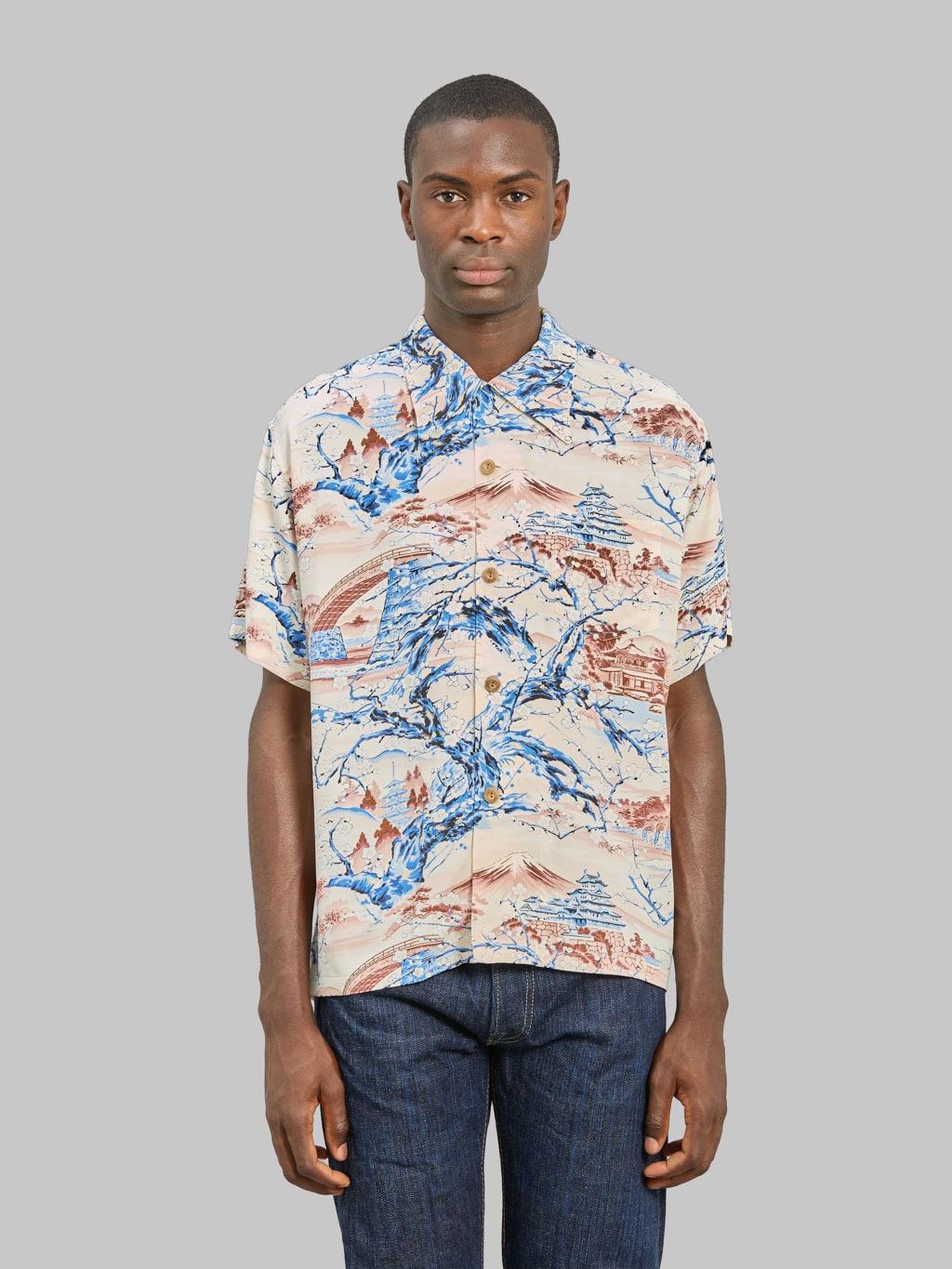 Sun Surf Scenery Of Japan Hawaiian Shirt Brown