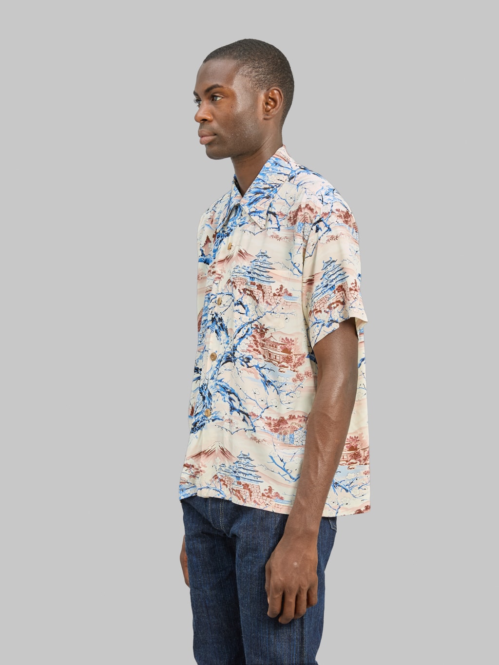 Sun Surf Scenery Of Japan Hawaiian Shirt Brown