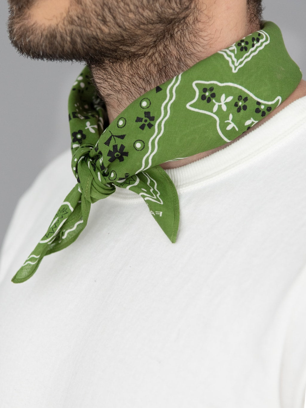 tcb cat bandana green collar style