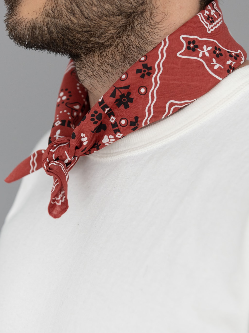 tcb cat bandana red collar