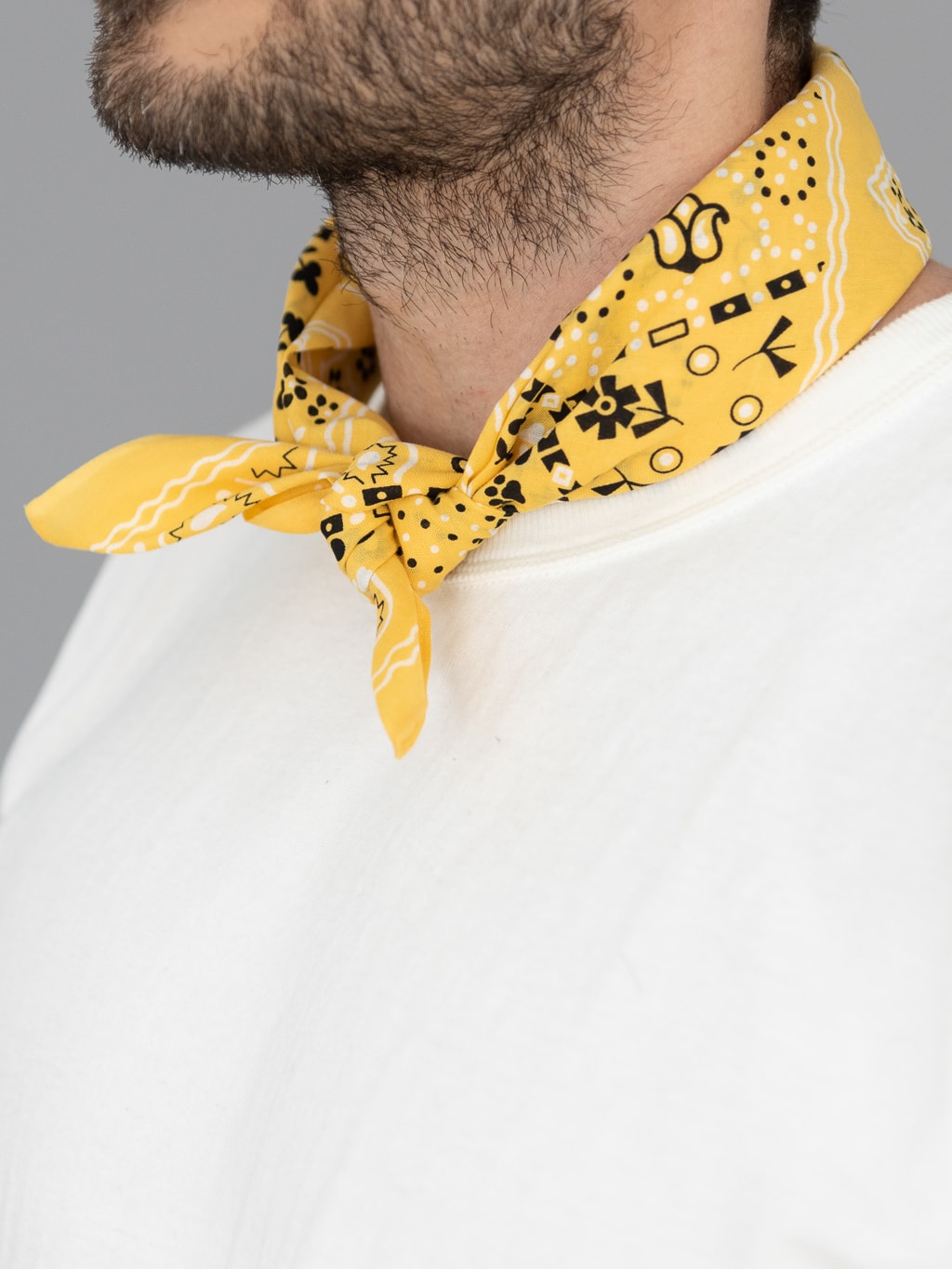 tcb cat bandana yellow collar