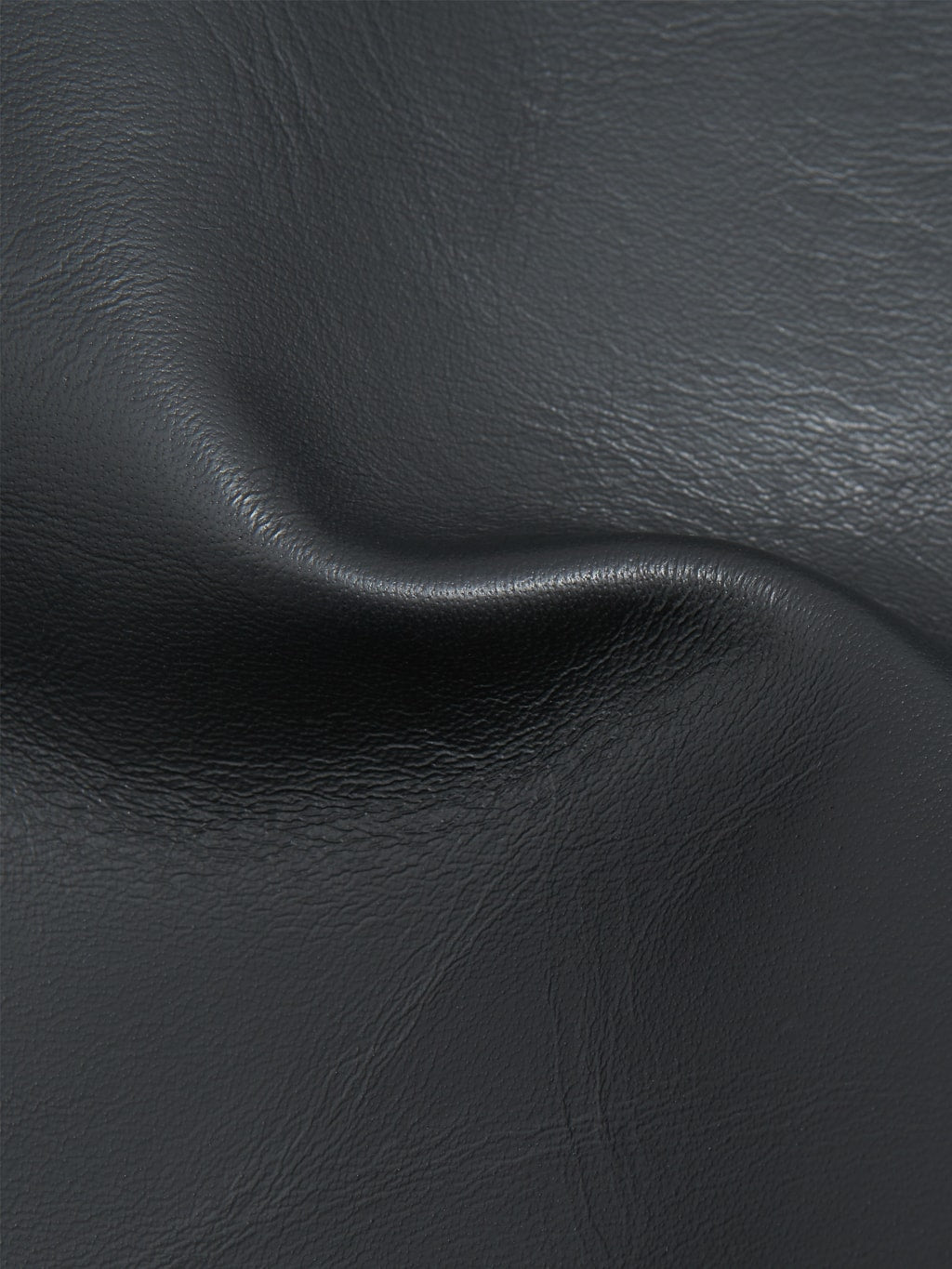 Trophy Clothing Humming Bird Horsehide leather Jacket Black  texture closeup