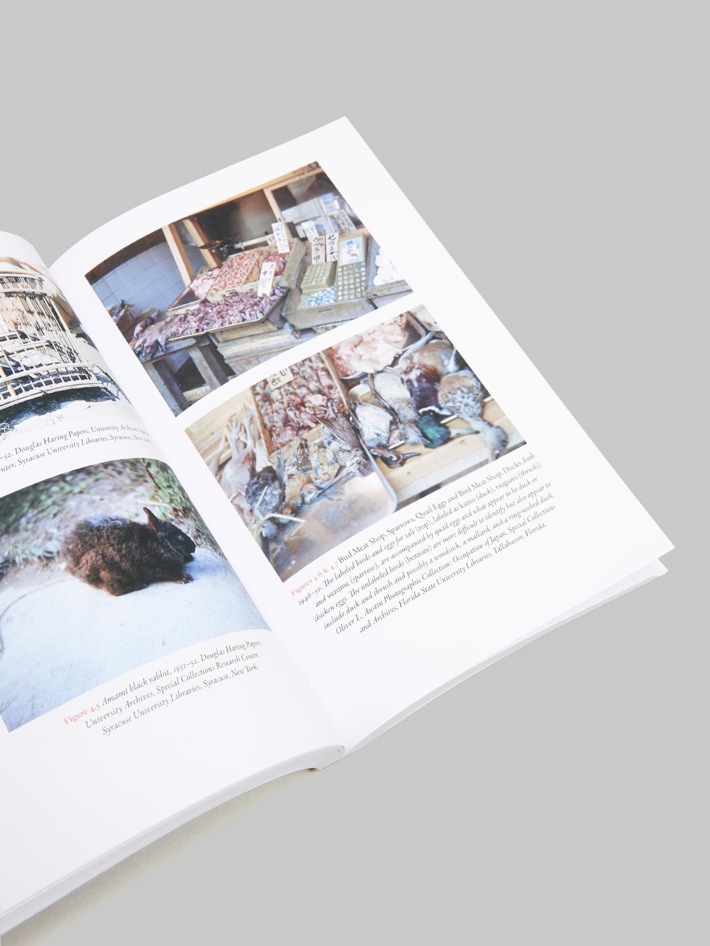 Dyeing with the Earth: Textiles,Tradition and Sustainability in Contemporary Japan