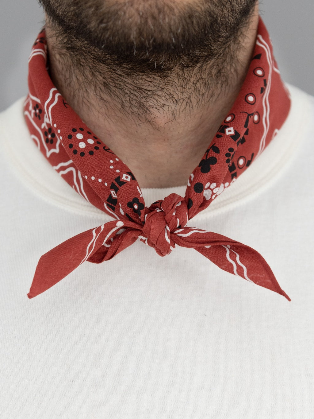 tcb cat bandana red style